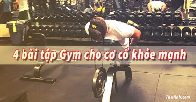 4 Bài tập gym dành riêng cho cơ cổ (Neck) to khỏe