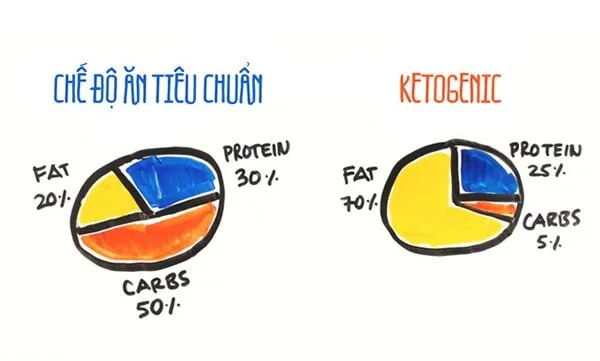 4 lí do thực đơn giảm cân KETO không phải là lựa chọn tốt