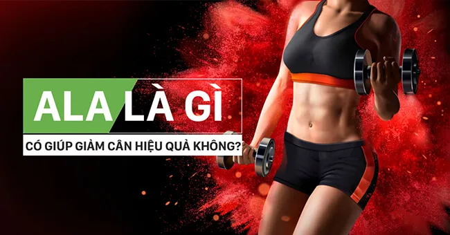 ALA (Alpha Lipoic Acid) là gì? Có giúp giảm cân và công dụng gì đặc biệt không