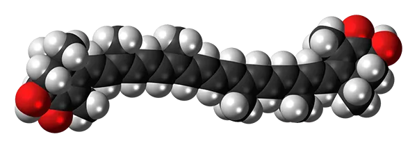 Astaxanthin là gì ? Vì sao bạn nên dùng astaxaxthin mỗi ngày