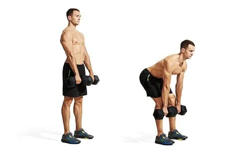 Bài tập thể dục giảm mỡ toàn thân cho nam và nữ với tạ Dumbbell