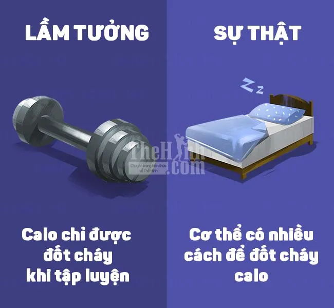 Bạn nghĩ mình đã giảm cân đúng cách?. Có thể là ngược lại đấy