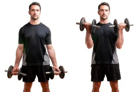 Barbell Biceps Curl – Đứng cuốn tạ tập cơ tay trước