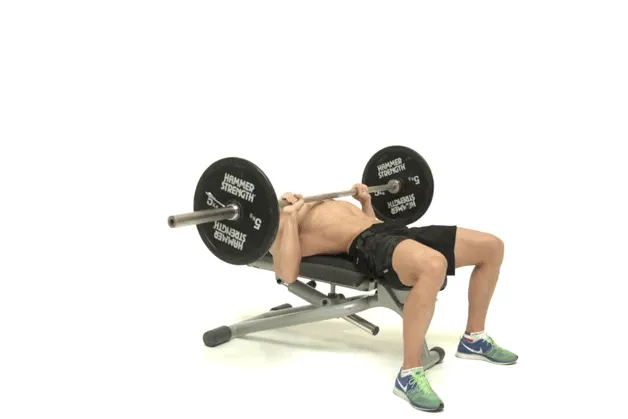 Bench press – Chi tiết cách tăng vòng 1 cho nam tự nhiên hiệu quả nhất