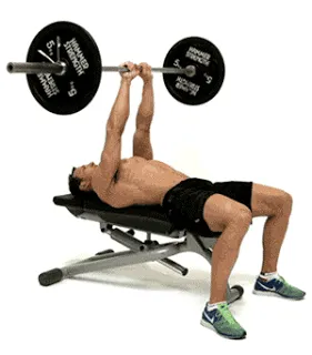 Bench press – Chi tiết cách tăng vòng 1 cho nam tự nhiên hiệu quả nhất