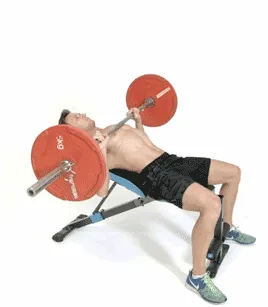 Bench press – Chi tiết cách tăng vòng 1 cho nam tự nhiên hiệu quả nhất