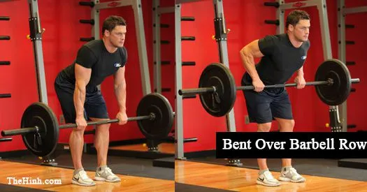 Bent Over Barbell Row – Gập người kéo tạ tập lưng giữa