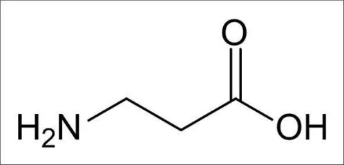 Beta Alanine là gì ? Cách tập gym sung hơn, tăng sức chịu đựng hơn