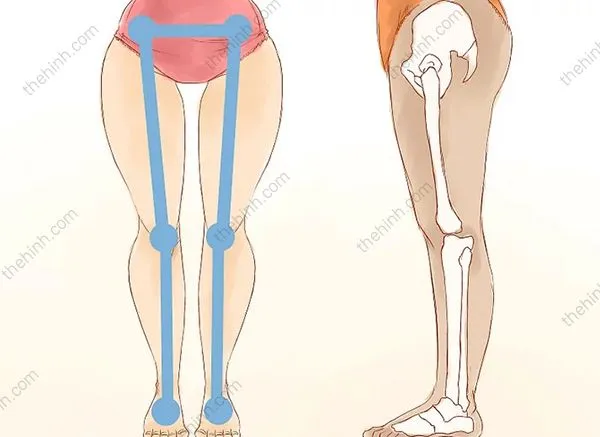 Bí quyết để có khe hở giữa 2 đùi siêu gợi cảm | Thigh Gap