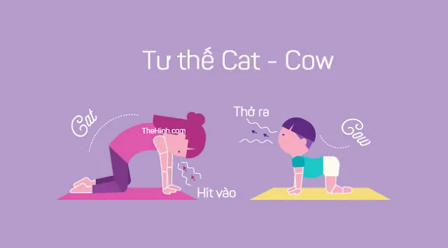 Các bài tập Yoga cho trẻ em giúp thoải mái tinh thần hiệu quả