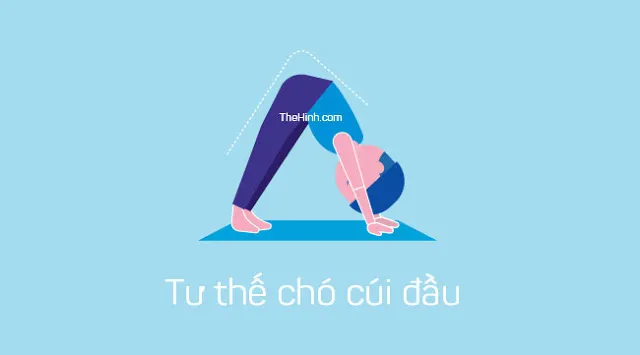 Các bài tập Yoga cho trẻ em giúp thoải mái tinh thần hiệu quả