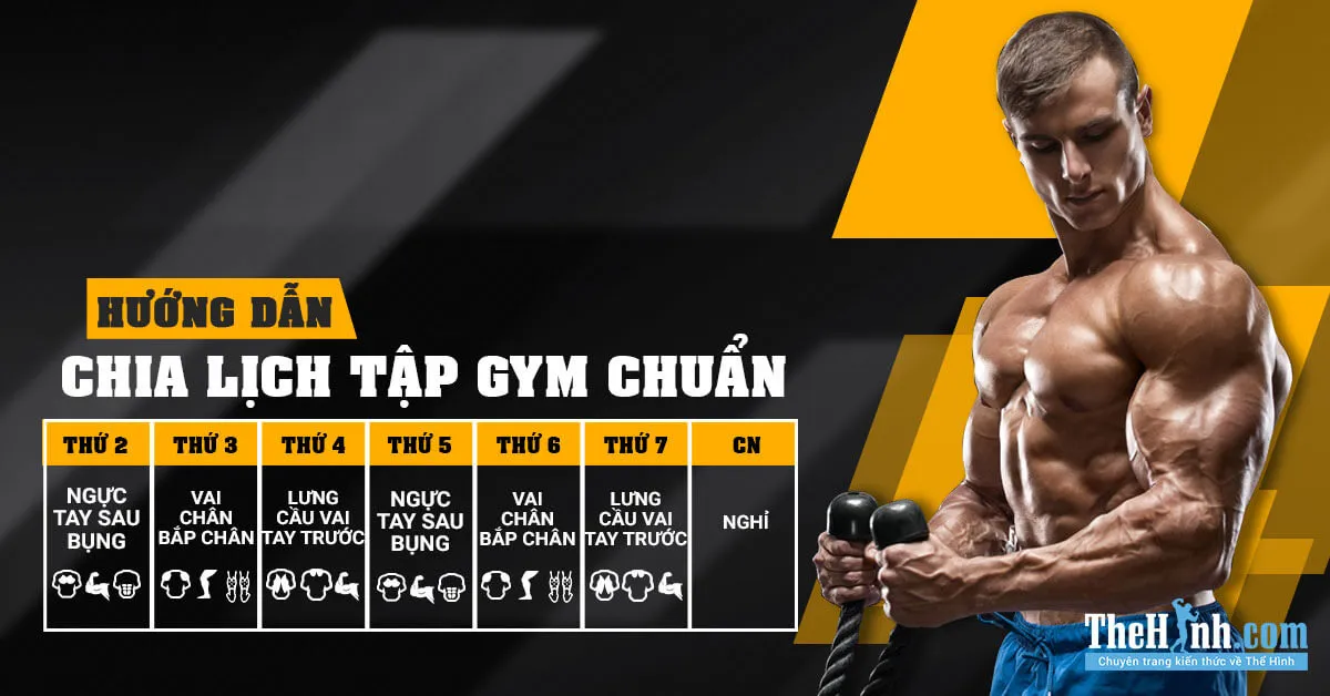 Cách chia lịch tập gym, thể hình cho Gymer mới đi tập