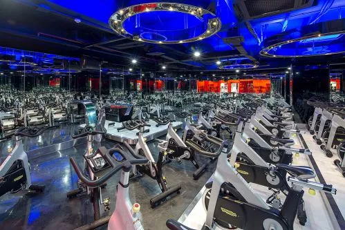 Cách chia lịch tập gym, thể hình cho Gymer mới đi tập