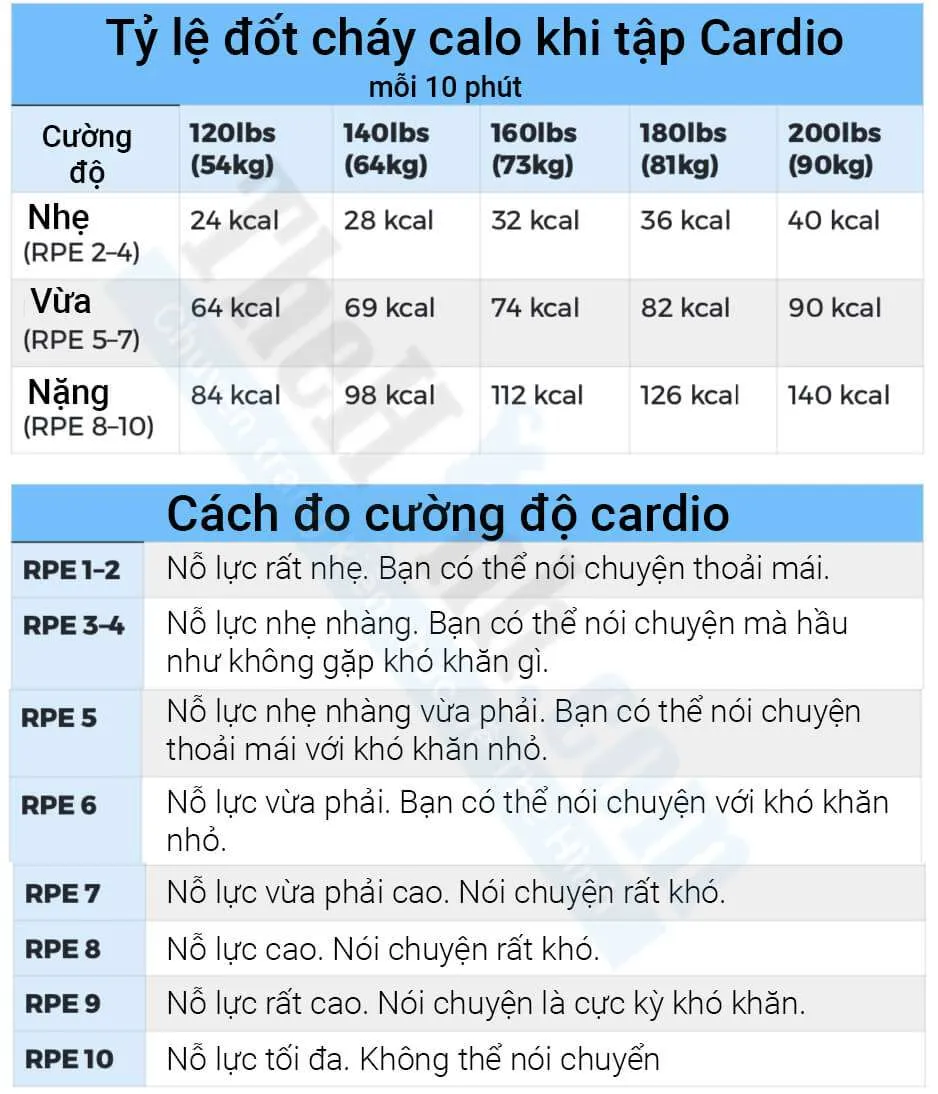 Cách điều chỉnh lượng Calo và Macro khi tập gym để giảm cân tốt nhất