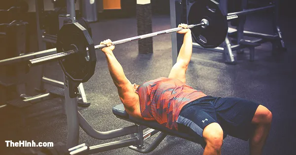 Cách làm tăng vòng 1 siêu nhanh với bài đẩy ngực Bench Press