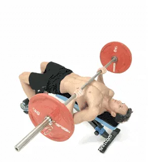 Cách làm tăng vòng 1 siêu nhanh với bài đẩy ngực Bench Press