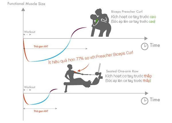 Cách tăng cơ bắp nhanh nhất | 1 nhóm cơ tập mấy lần 1 tuần ?