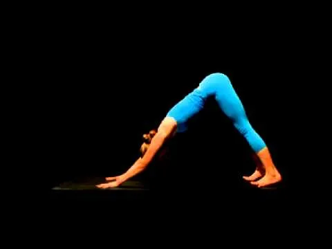 Cách tập tư thế chó úp mặt – Downward Facing Dog (Adho Mukha Svanasana)