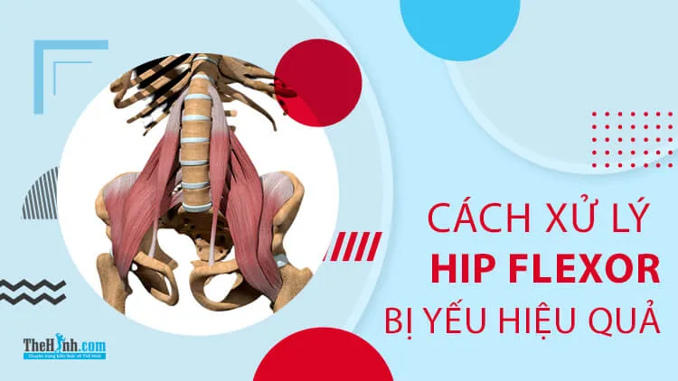 Cách xử lý cơ Hip Flexor yếu để tránh chấn thương qua 5 bài tập đơn giản