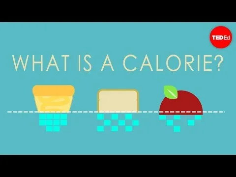 Calo là gì ? Những điều bạn chưa từng biết về Calories