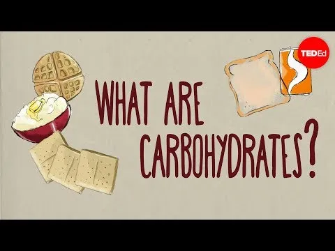 Carbohydrate là gì ? Cơ bản nhưng không phải ai cũng hiểu rõ