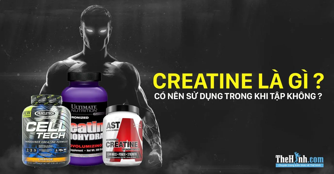 Creatine là gì ? Tất cả thông tin về Creatine bạn cần biết