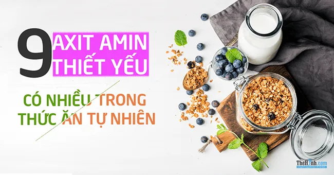 Danh sách 9 loại axit amin thiết yếu có trong thực vật mà bạn nên ăn