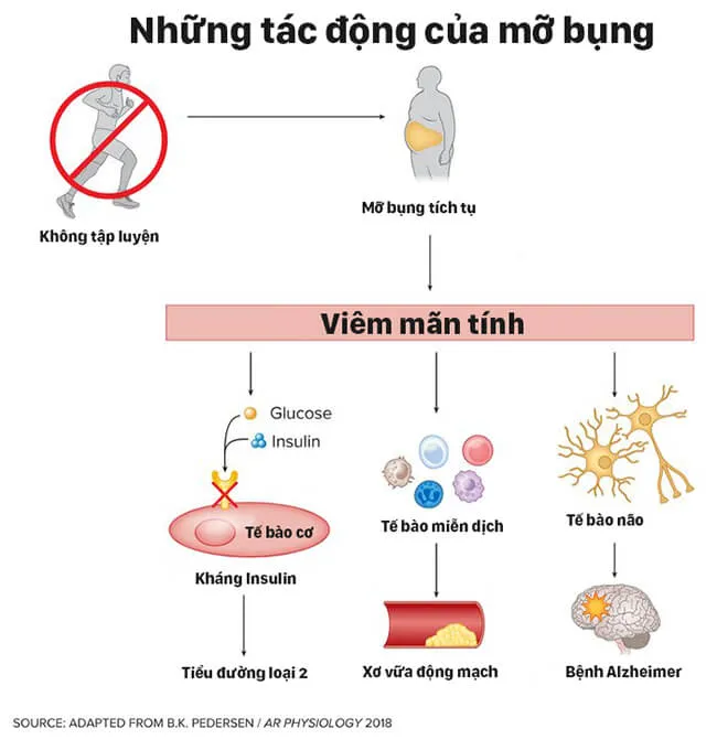 Đây chính là cách mà tập luyện giúp cho sức khỏe của bạn tốt hơn