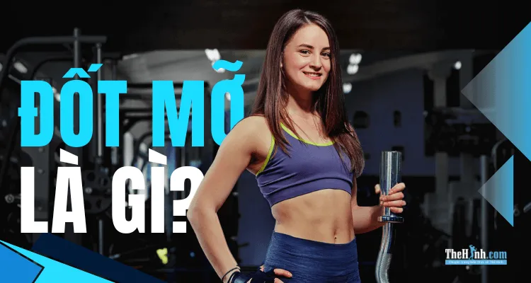 Đốt mỡ là gì ? Những điều cần biết để tăng cường đốt mỡ