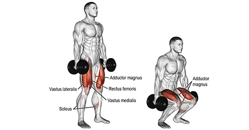 Dumbbell Squat – Tập mông tại nhà dễ dàng hơn với tạ Dumbbell