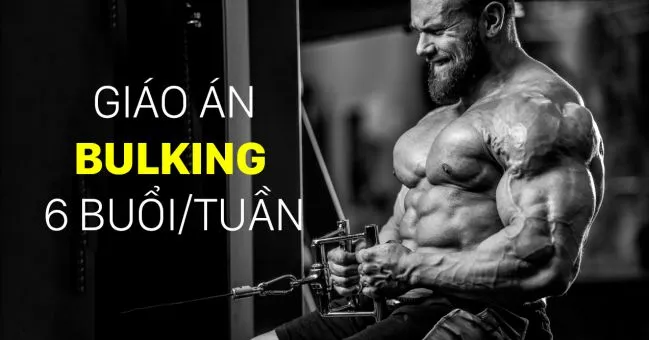 Giáo án Bulking 6 buổi 1 tuần cho nam | Lịch tập thể hình