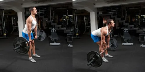 Giáo án Bulking 6 buổi 1 tuần cho nam | Lịch tập thể hình