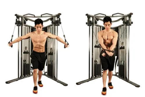 Giáo án tập tăng cơ giảm mỡ chi tiết của Jeff Seid