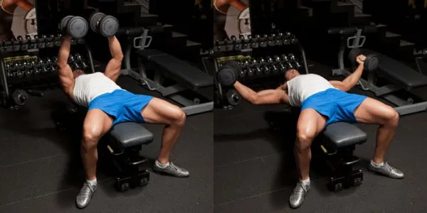 Giáo án tập tăng cơ giảm mỡ chi tiết của Jeff Seid