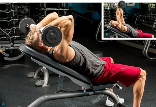 Giáo án tập tăng cơ giảm mỡ chi tiết của Jeff Seid