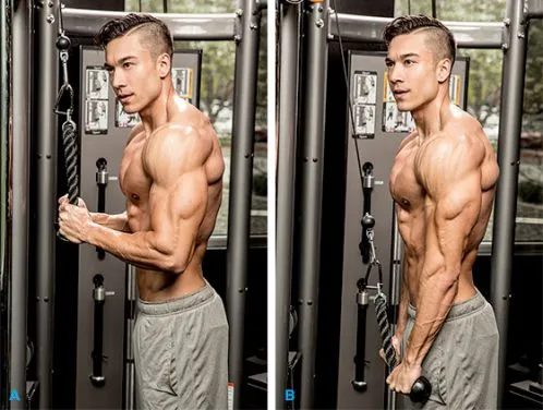 Giáo án tập tăng cơ giảm mỡ chi tiết của Jeff Seid