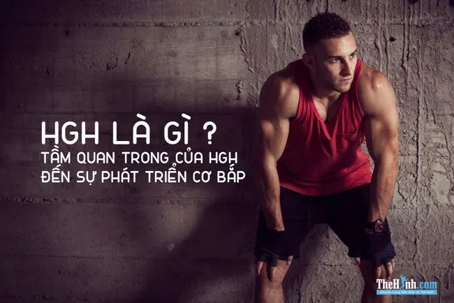 HGH là gì ? Sự ảnh hưởng của HGH đến cơ bắp ra sao ?