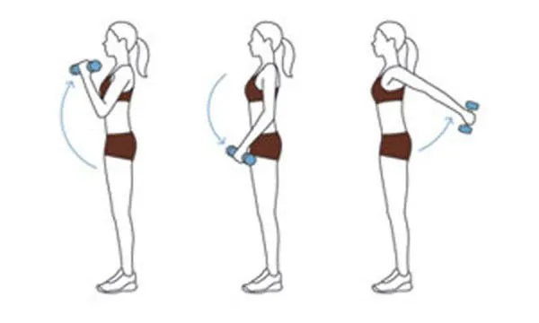 Hướng dẫn giảm mỡ bắp tay hiệu quả qua 6 bài tập