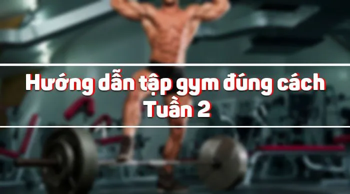 Hướng dẫn tập gym đúng cách trong 12 tuần – Tuần 2