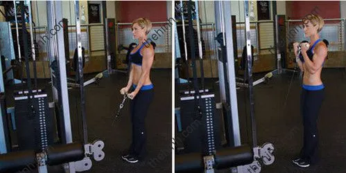 Hướng dẫn tập lưng, tay trước cho nữ hiệu quả cùng Jamie Eason