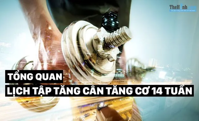 Lịch tập tăng cân 14 tuần | Tổng quan về chương trình tập