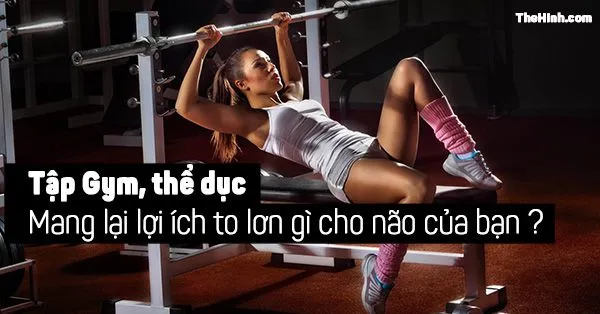 Lợi ích của việc tập gym, tập thể hình đến não bạn không thể ngờ tới