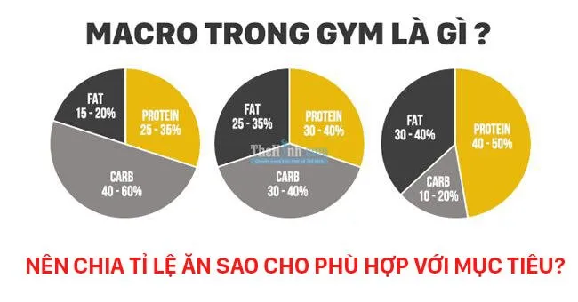 Macro trong gym là gì ? Cách tính macro trong gym như thế nào ?