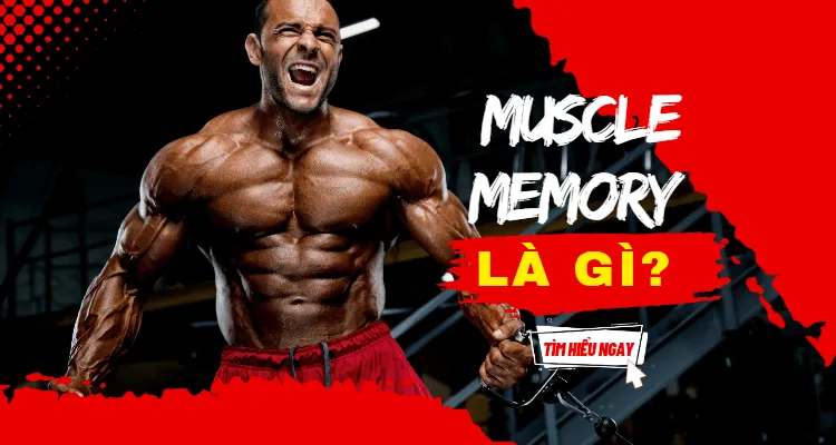 Muscle Memory là gì? Ký ức cơ bắp có lợi như thế nào?
