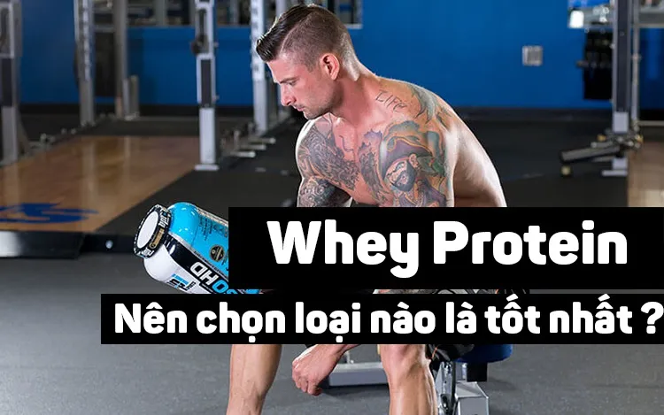 Nên mua loại Whey Protein nào là tốt nhất cho các Gymer ?