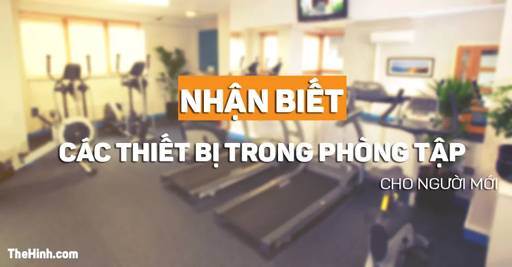 Nhận biết dụng cụ tập thể hình cho người mới đi tập gym