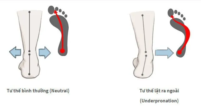 Pronation là gì ? Bí quyết để chọn giày chạy bộ phù hợp với bàn chân