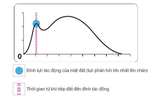 Pronation là gì ? Bí quyết để chọn giày chạy bộ phù hợp với bàn chân