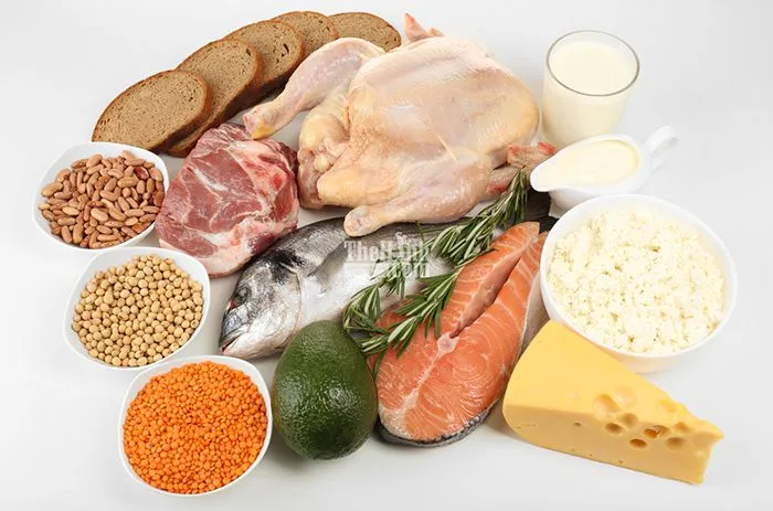 Protein là gì ? Tầm quan trọng của Protein đối với cơ bắp