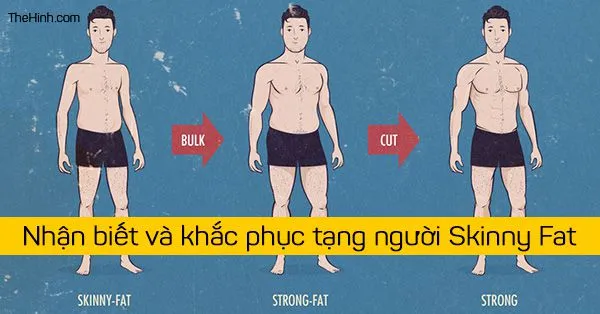 Skinny Fat là gì? Làm sao nhận biết và khắc phục Skinny Fat